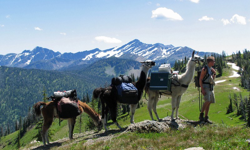 Glacier Park & Whitefish 7 Night Adventure